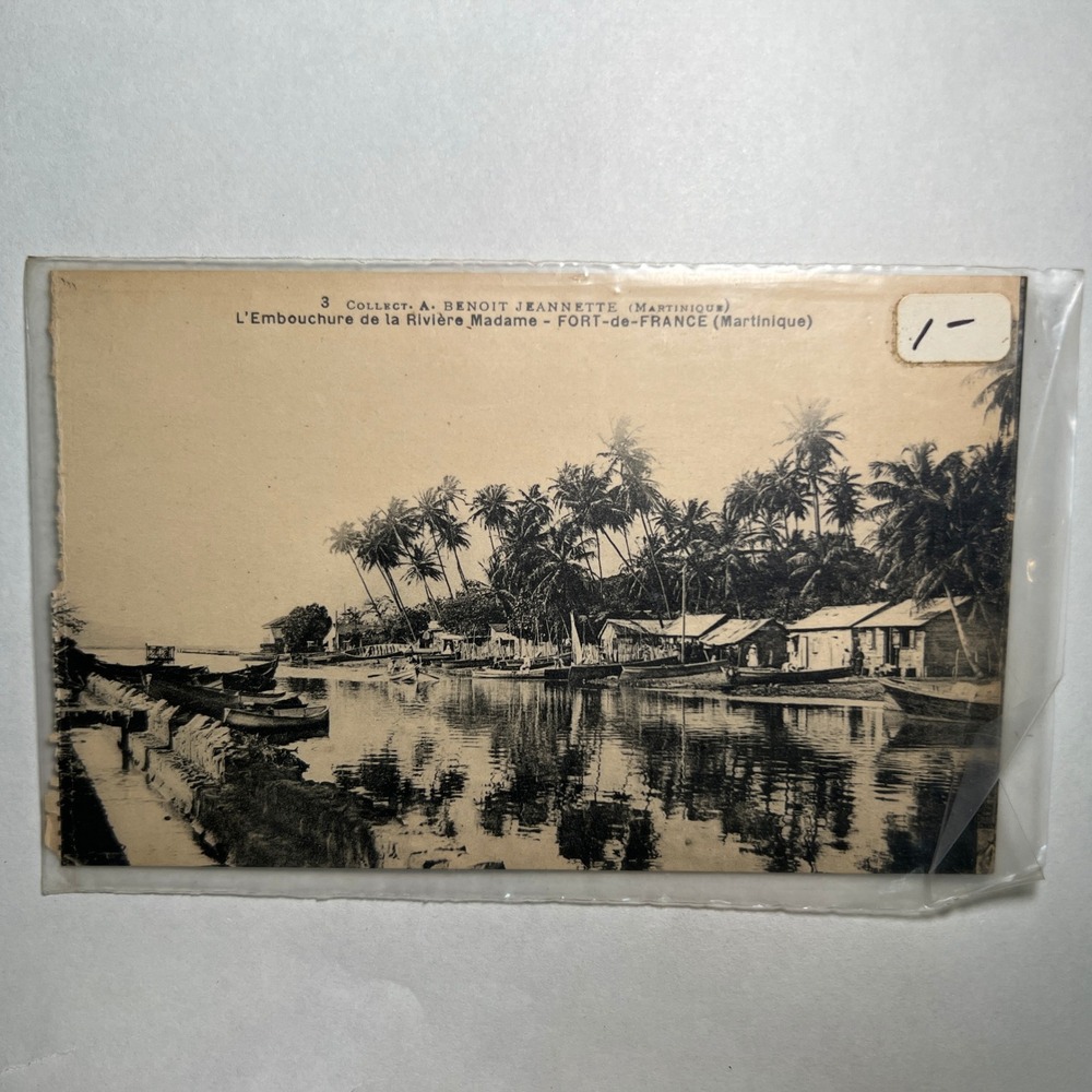1920s VTG RPPC Postcard Fort De France Martinique Riviere Madame Boats Palm Tree